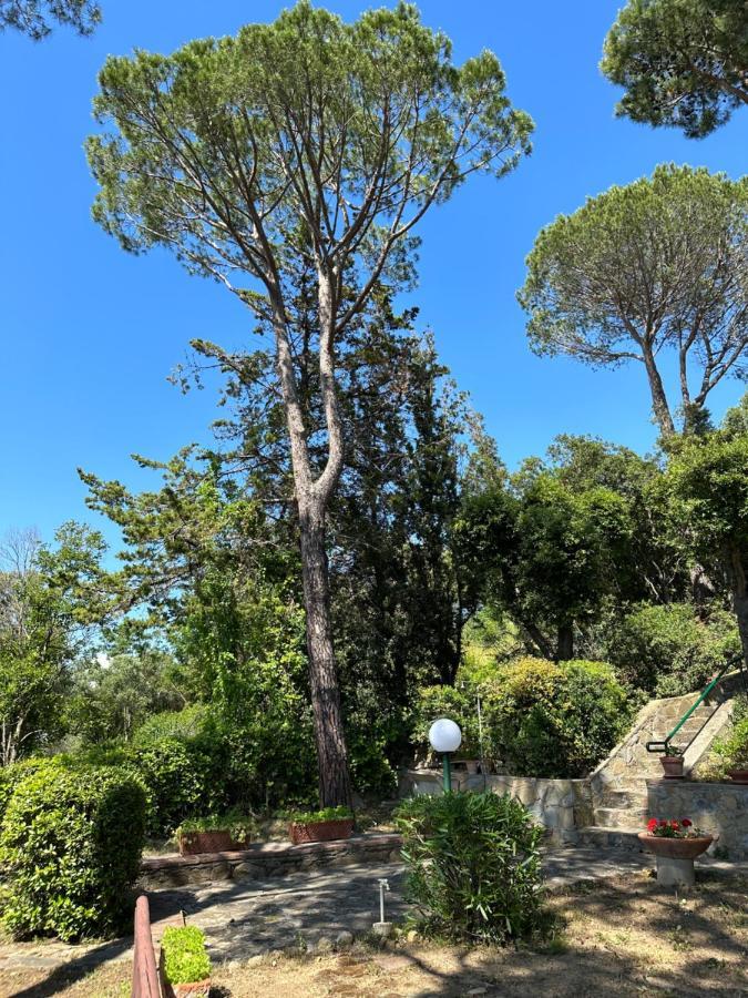 Appartamenti Portiglioni-Belvedere Puntone di Scarlino Buitenkant foto
